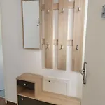 Apartamento Cooldog Mini *