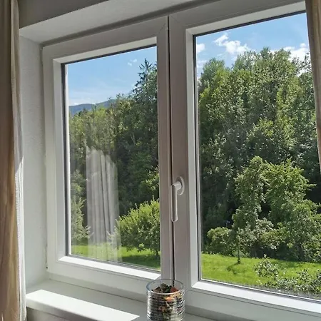 Apartment Cooldog Mini *