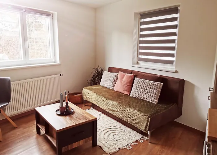 Cooldog Mini Appartement *