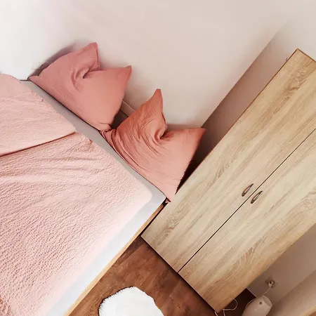 Cooldog Mini 伊姆斯特