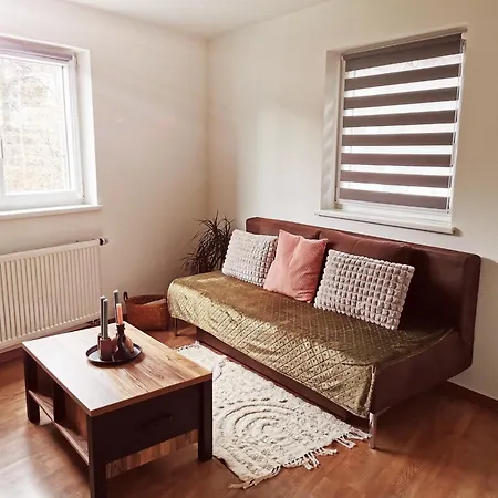 Cooldog Mini 公寓 *